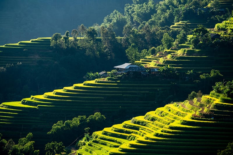 Warm lighting in a cozy room